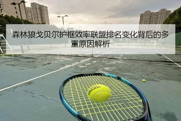 森林狼戈贝尔护框效率联盟排名变化背后的多重原因解析