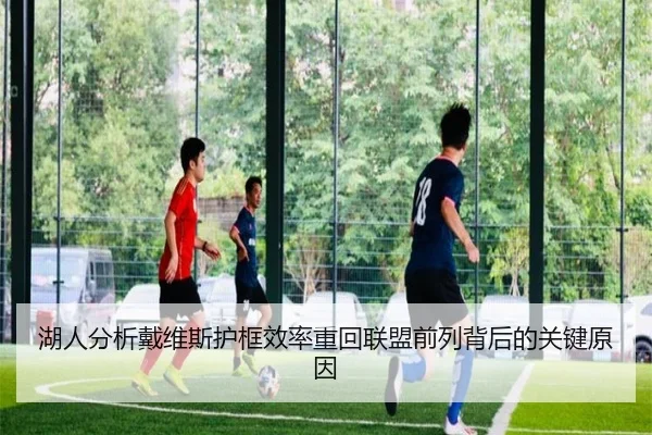 湖人分析戴维斯护框效率重回联盟前列背后的关键原因